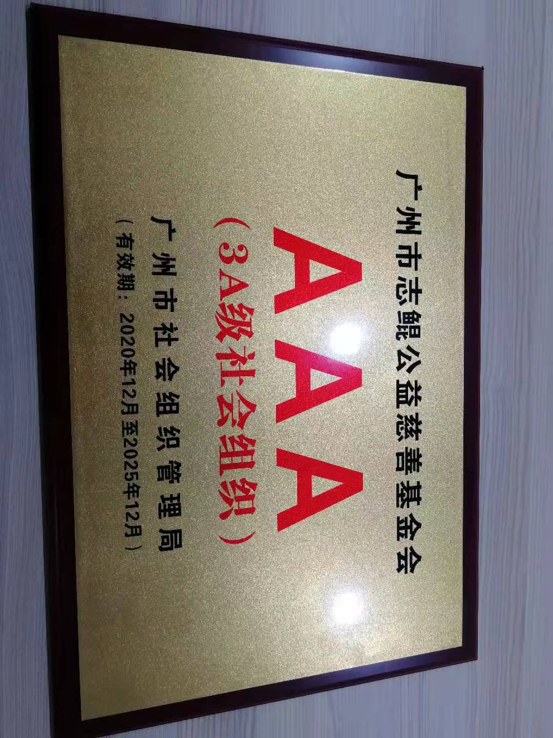 2020年广州市志鲲公益慈善基金会等级评估证书